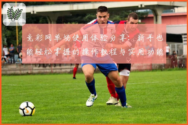 竞彩网单场使用体验分享:新手也能轻松掌握的操作教程与实用功能亮点