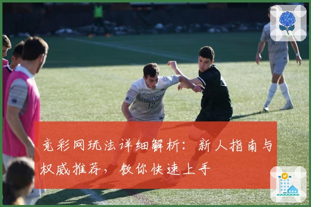 竞彩网玩法详细解析：新人指南与权威推荐，教你快速上手